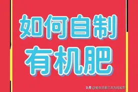 在农村如何自制有机肥？试试这些方法吧，既经济实惠又简单方便图片