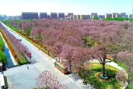 划走尉氏又让兰考入圈，郑开同城这一步跨得大，入圈的兰考不简单图片