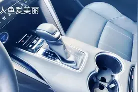 阳光下最靓的车一汽丰田凌放图片
