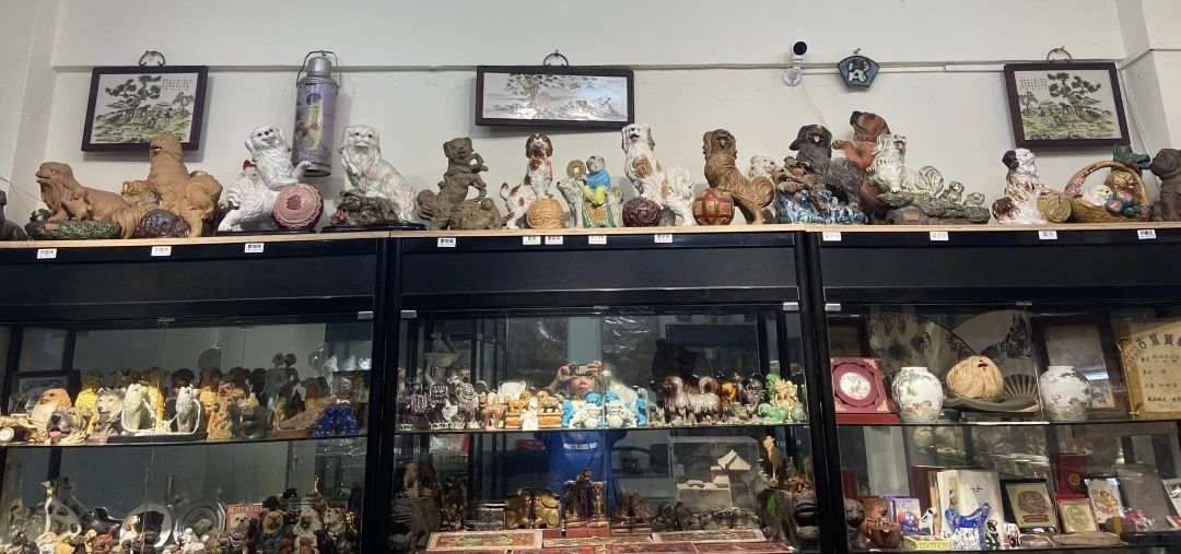 期待揭晓！国际潮宠展联合宠知源独家展示宠物犬起源的宝藏资料！