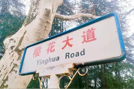 武汉大学里的岔路口比较多，容易迷路？进了校园，这么走，就对了图片