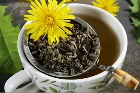 每天喝杯蒲公英水，或有这6种好处“不请自来”，不妨了解下图片