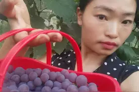 水果的这些“碱性与酸性”你知道多少呢？图片