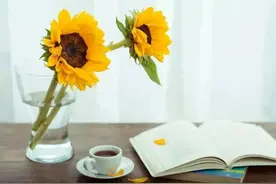 如果有一天，我不再打扰你了 (真心话)图片