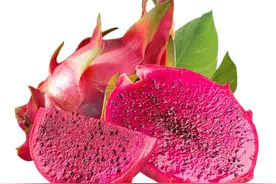 不甜也不酸、像花又像菜的火龙果如何在这盛夏刷出“存在感”图片