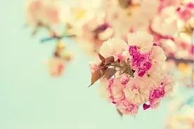 父母老了，走不动了，子女应该有三不做，越不做反而越孝顺图片