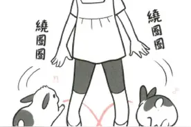 兔年养兔必看：兔兔的20种行为你了解嘛？教你读懂兔兔小心思图片