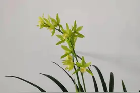 第一次牵母亲的手图片