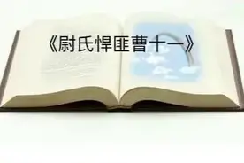 尉氏悍匪曹十一连载21：五十多条枪被人悄悄送了回来图片