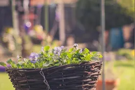 不要随便去帮助别人，读懂这些，才不会感到心寒图片