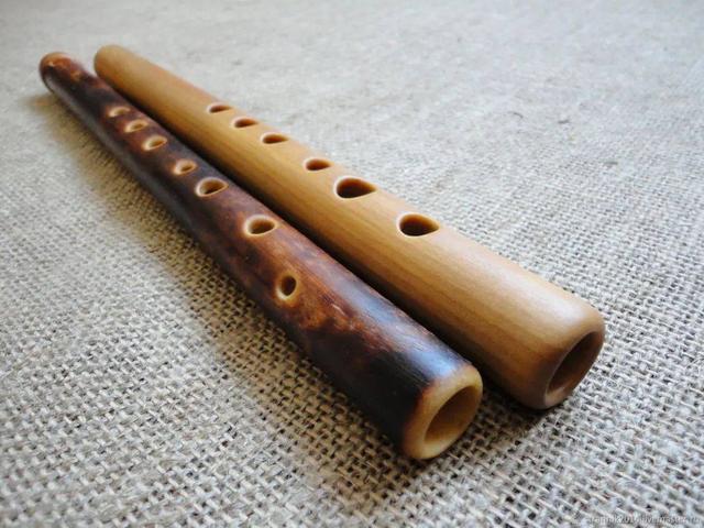 明代宫廷乐队八音分类法中的乐器有哪些类别?