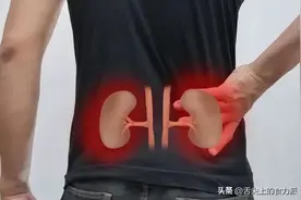 “补肾高手”被发现，不是生蚝韭菜，一周3次，朝气蓬勃干劲足图片