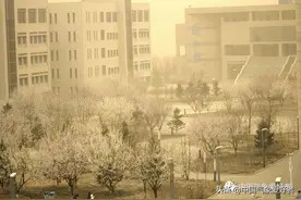 沙尘已抵达南方！今年的沙尘暴为什么这么多？图片