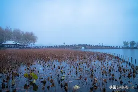 杭州下雪了！虽然雪不大，西湖却全是人，游客：断桥要被踩断了图片