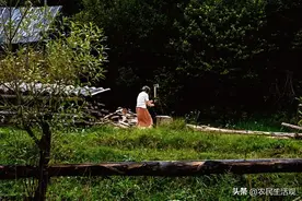 老人说“寡妇的腰，屠夫的刀，不能摸”，有道理吗？图片