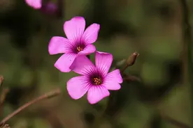 生活中，被亲戚排斥的人，多半是以下几种人图片