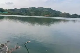 亲身经历告诉你拔长智齿可以有多痛：能看不能吃 其他都挺好图片