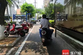 网传小伙子把玩电动车上爬出的小绿蛇，结果被咬中毒浑身哆嗦图片