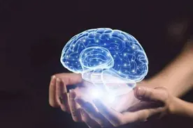 宝宝的侧脑室宽了啥时能吸收？图片