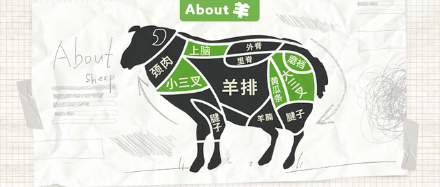 今天就来带大家一起从一头羊的部位解剖图,解锁羊肉各个部位的不同