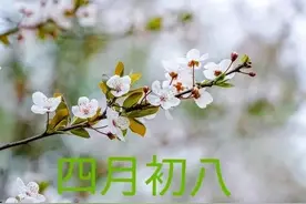 四月初八“清和节”顶礼释迦牟尼佛，参拜三界公，感恩老母亲图片