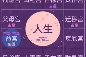「紫微斗数3」紫微星基本概念图片