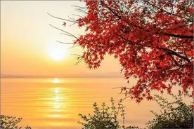 丁仙芝的诗《渡扬子江》借景抒情 表现出深沉的悲秋之情图片