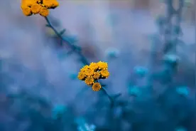 一切都是命中注定，随缘看开就好图片