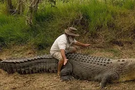 动不动就6、7米的巨蟒有天敌吗？曾经吞下成年人，最终却被人活捉图片