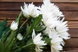 悼念李克文同志图片