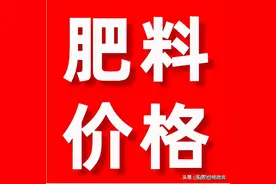 上涨50-100元！今日复合肥、磷铵、钾肥价格行情2022年4月10日图片