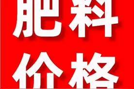 上涨50-100元！今日复合肥、磷铵、钾肥价格行情2022年4月10日图片