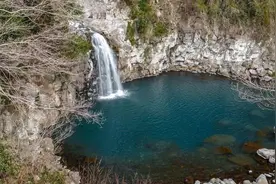 老农忠告“深山寻水喝，喝前一定要往水里撒些杂草”，这是何意？图片