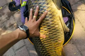 浅谈躺底跑铅钓法，容易上大鱼，但几个技巧特别重要图片