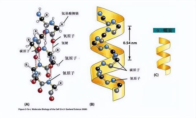 我们也是“外星人”？科学家证实外太空存在氨基酸，这意味着什么