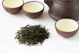 绿茶——恩施玉露图片