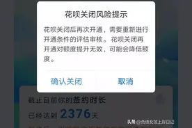 陪伴我2377天的花呗 再见了，愿今生与你再无交集图片
