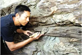 中国工艺美术大师、南海工匠、船木雕刻第一人吴孔德：木头上雕出精彩人生图片