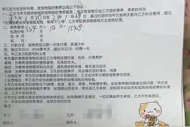 寄养2天猫撞玻璃死了？主人疑店家另有隐情，警方已介入图片