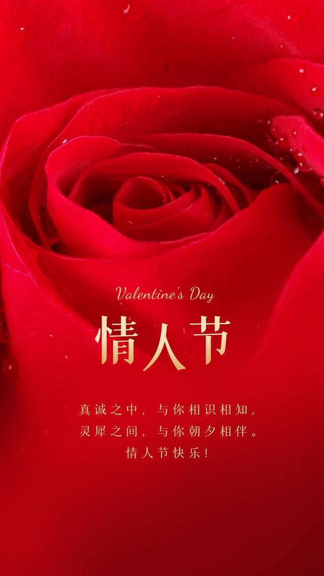 情人节图片海报大全高清唯美,情人节文案情话短句子