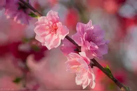 好想你，一个转身错过你，一别一生，永远想着你图片