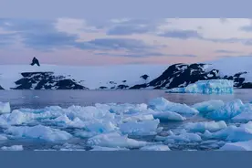 南极冰盖四千米底下，发现罕见“异星世界”，遍地是奇特生物图片