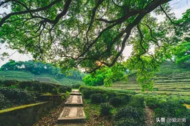 诗词 | 史上最空灵的一首诗，字字禅意，抚慰世人1200多年！图片