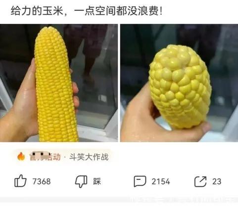 神评论和神回复大全