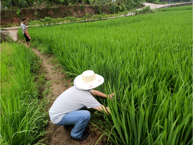四川省民生研究会新媒体中心-官网