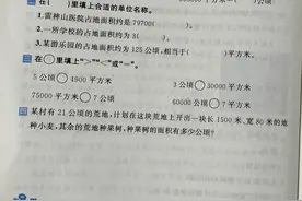 四年级数学《公顷和平方千米》课内课外：概念、进率的理解与实操图片
