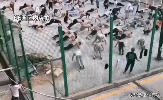 不要去缅北！诈骗卖淫割腰子有去无回，幸存者讲述生不如死的经历