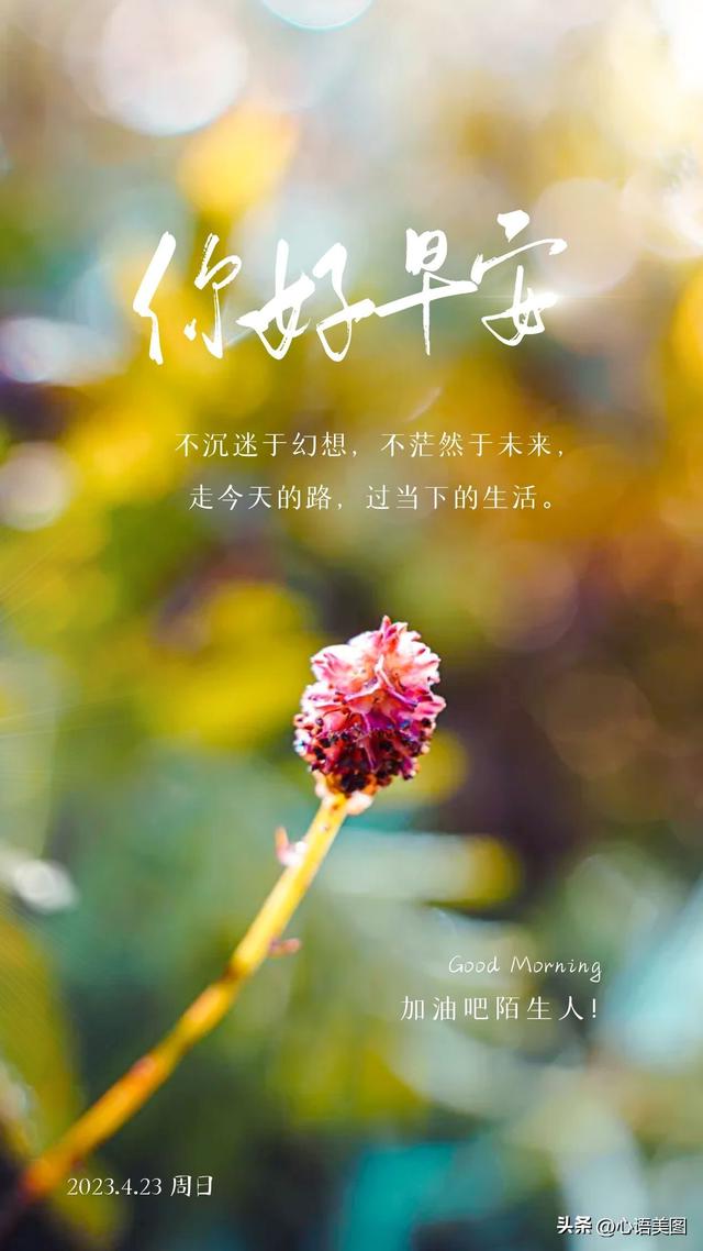 就是内心简静美好,逐光而行,向阳而生(很现实的人生感悟短句子图片)