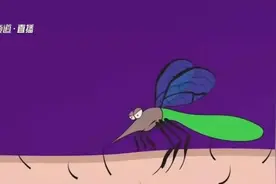 蚊子叮人看血型？它最“爱”这4类人→图片