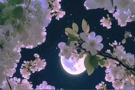 那些能引起你共鸣的歌词图片